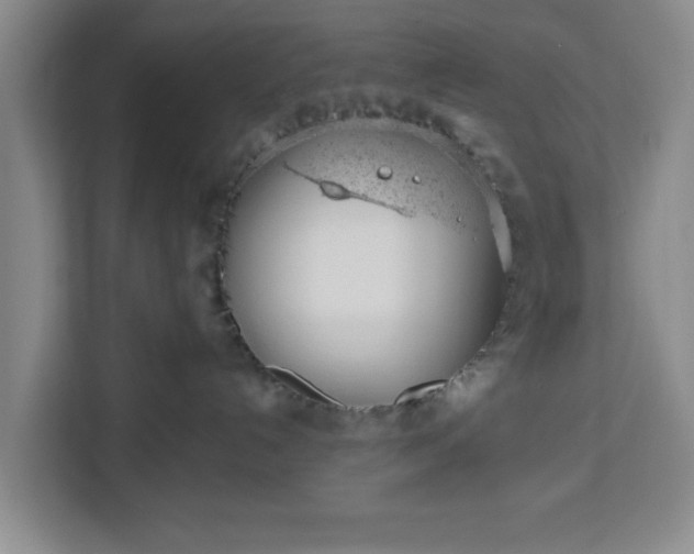X0000112920192200908311304