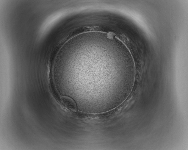 X0000112920194200908311304