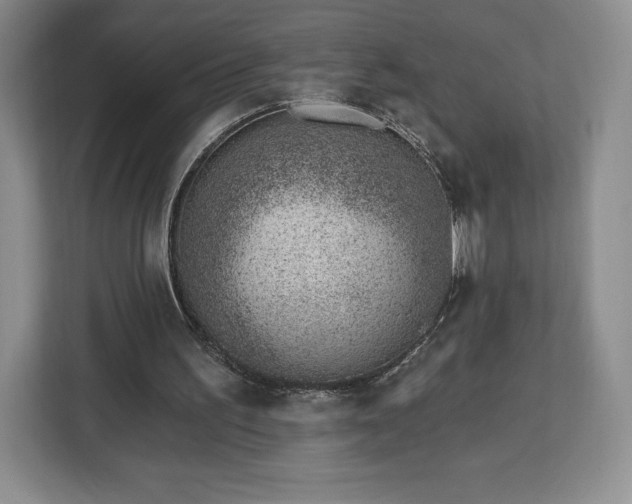 X0000112920195200908311304