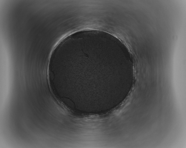 X0000112920196200908311304