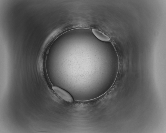 X0000112920197200908311304