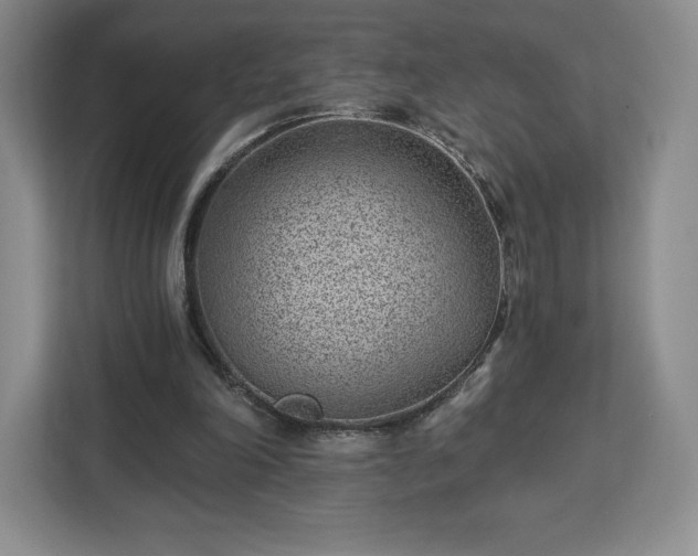 X0000112920198200908311304