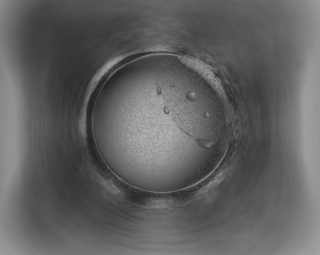 X0000112920200200908311304