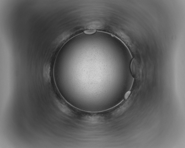 X0000112920201200908311304