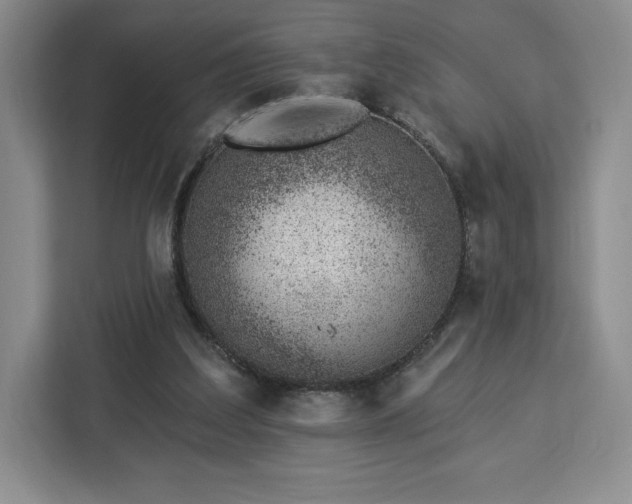 X0000112920203200908311304