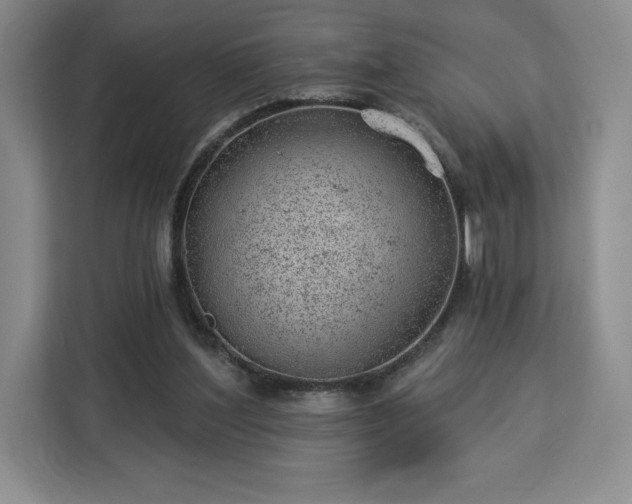X0000112920204200908311304