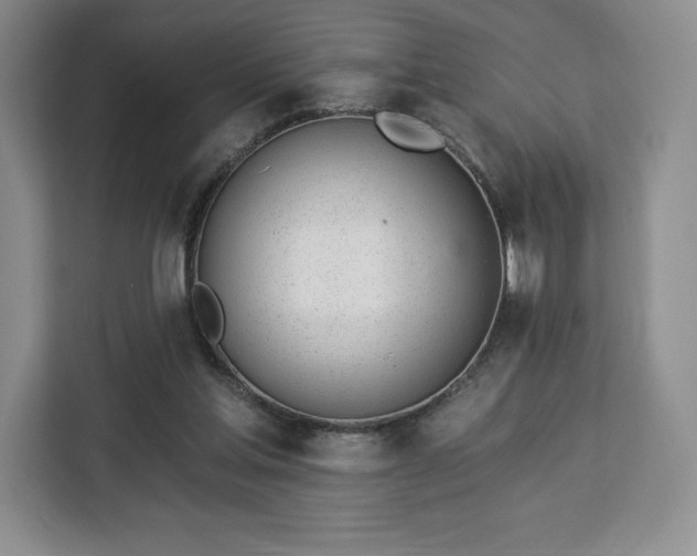 X0000112920205200908311304