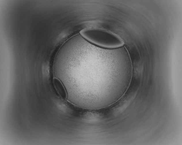 X0000112920207200908311304