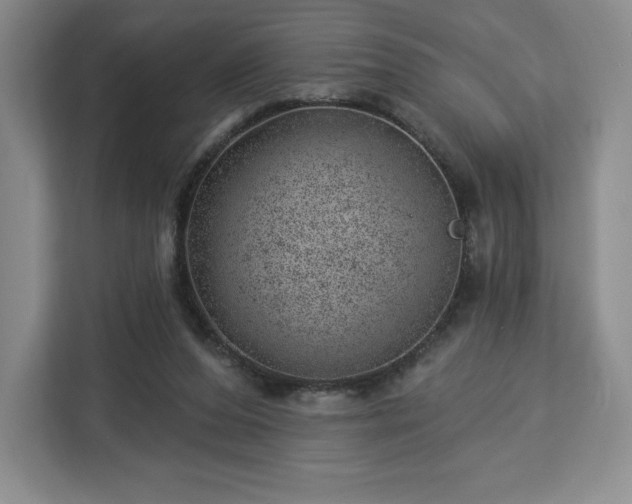 X0000112920208200908311304