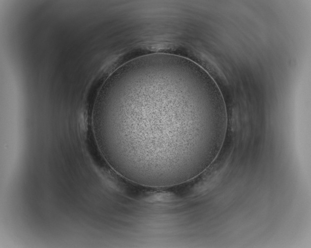 X0000112920210200908311304