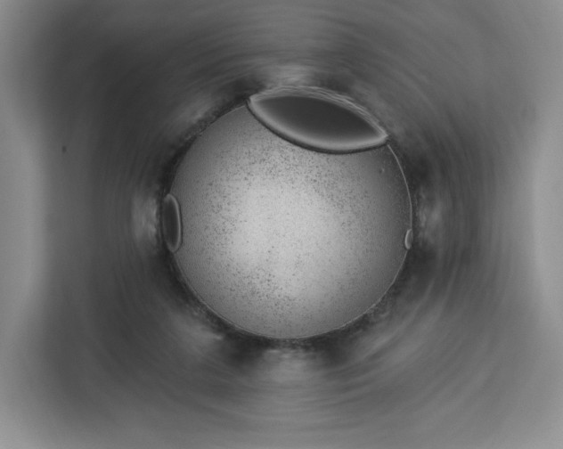 X0000112920211200908311304