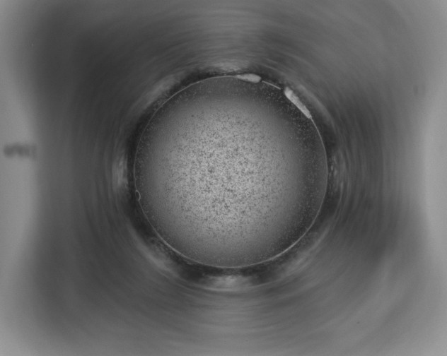 X0000112920212200908311304