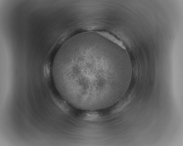 X0000112920214200908311304