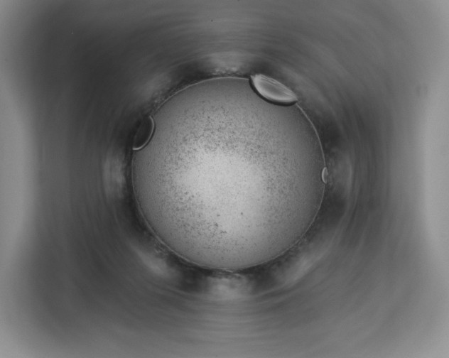X0000112920215200908311304