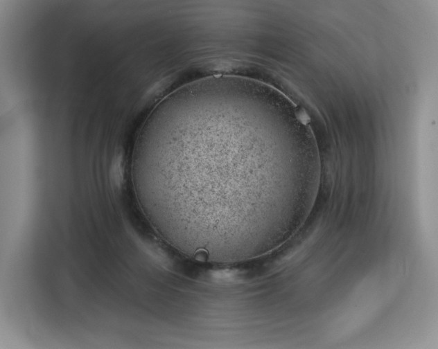 X0000112920216200908311304