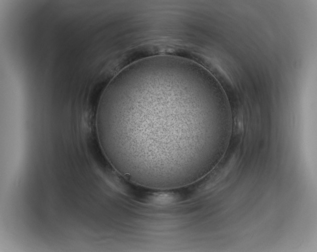 X0000112920218200908311304
