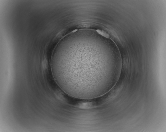 X0000112920220200908311304