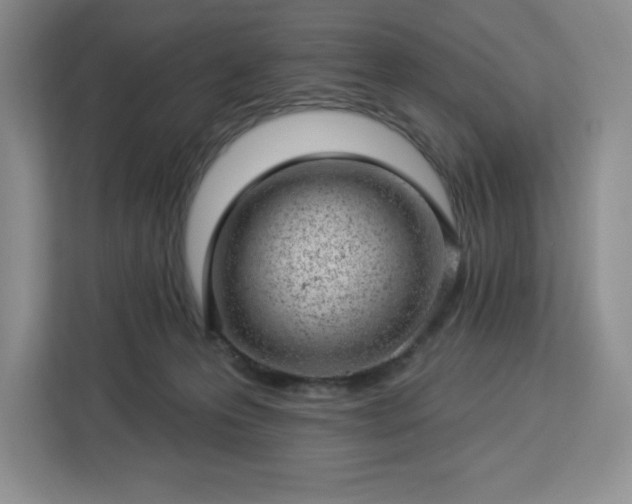 X0000112920223200908311303