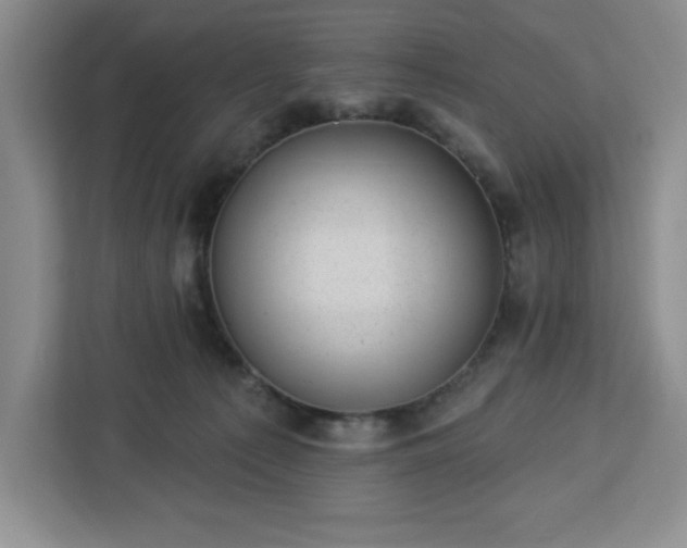 X0000112920225200908311303
