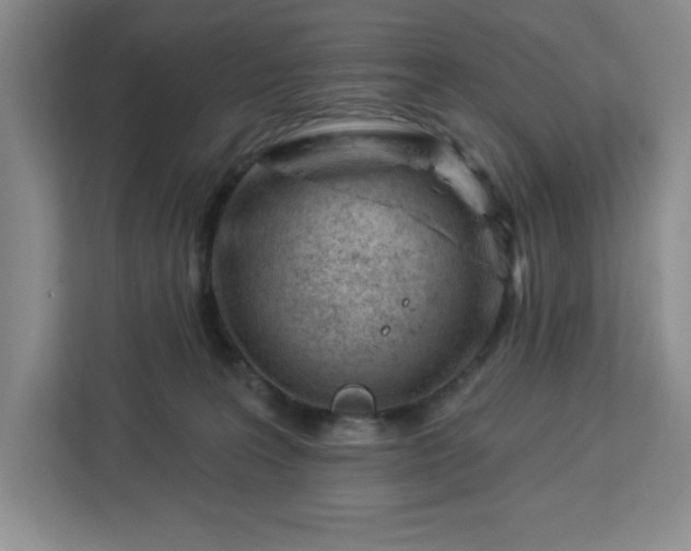 X0000112920227200908311303