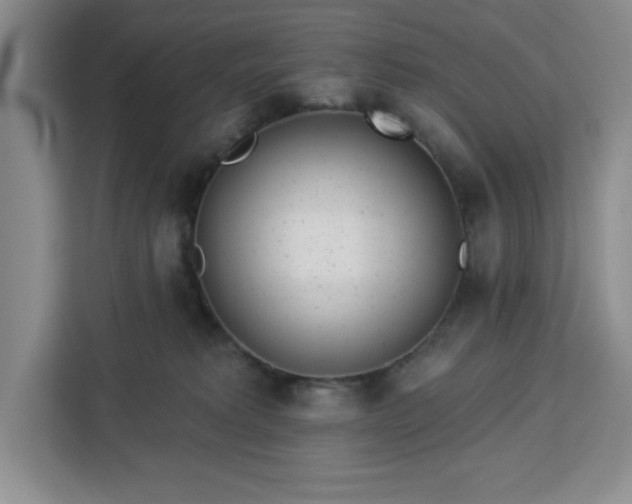 X0000112920229200908311303