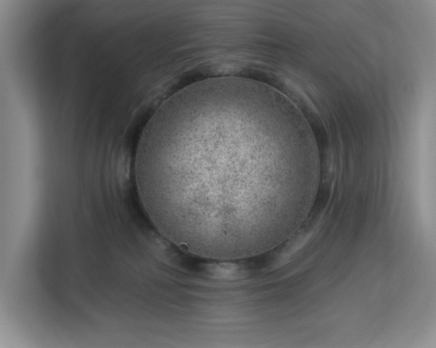 X0000112920230200908311303