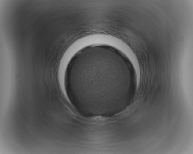 X0000112920231200908311303