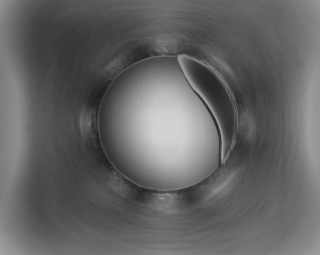 X0000112920233200908311303