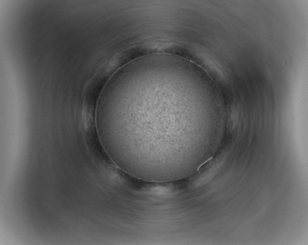X0000112920236200908311303
