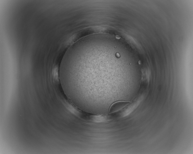 X0000112920238200908311303