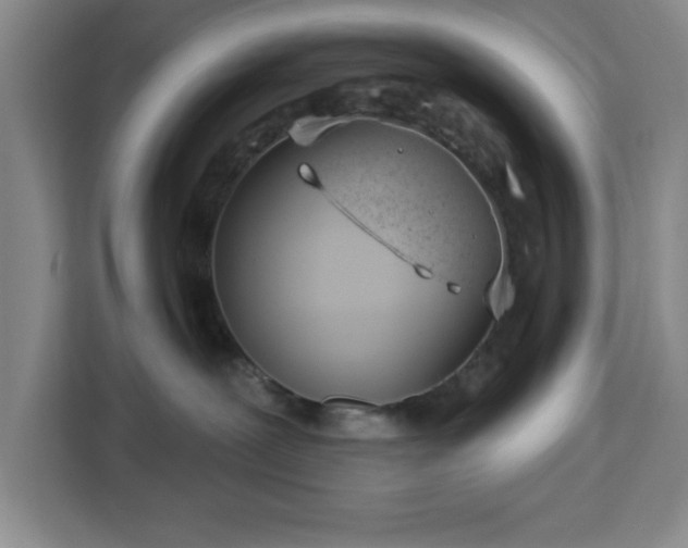 X0000112920239200908311303