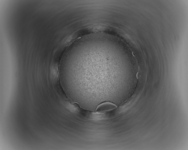 X0000112920240200908311303