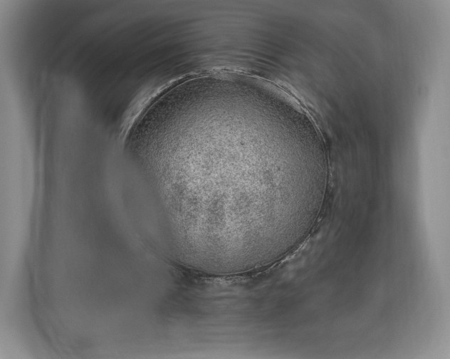 X0000112920241200908311303