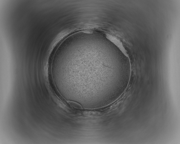 X0000112920242200908311303