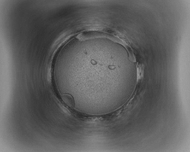 X0000112920243200908311303