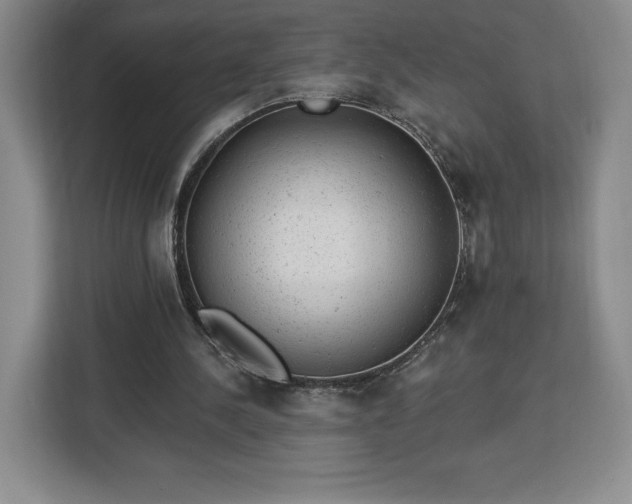 X0000112920244200908311303