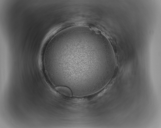X0000112920245200908311303