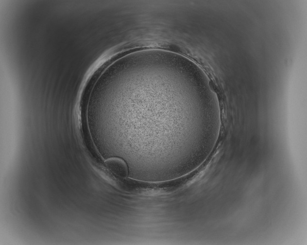 X0000112920246200908311303