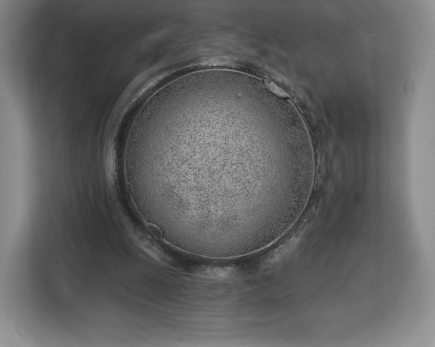 X0000112920247200908311303