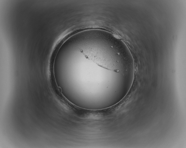 X0000112920248200908311303
