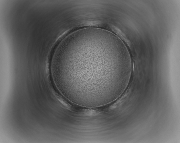 X0000112920249200908311303