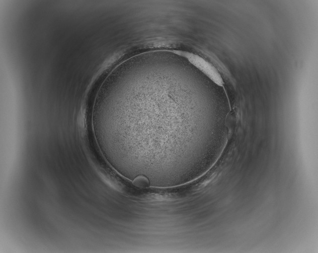 X0000112920250200908311303