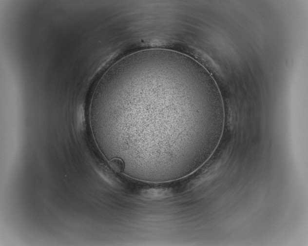 X0000112920251200908311303
