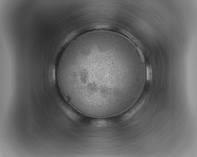 X0000112920253200908311303