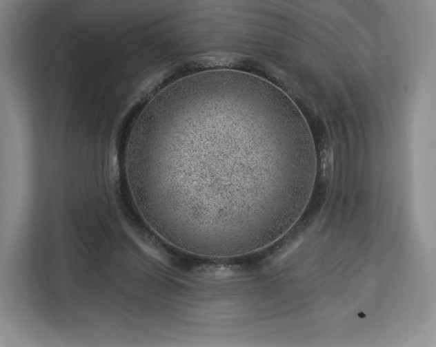 X0000112920254200908311303