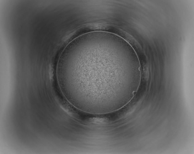X0000112920255200908311303