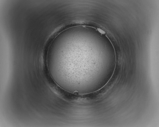 X0000112920256200908311303