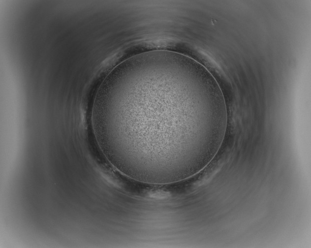 X0000112920258200908311303