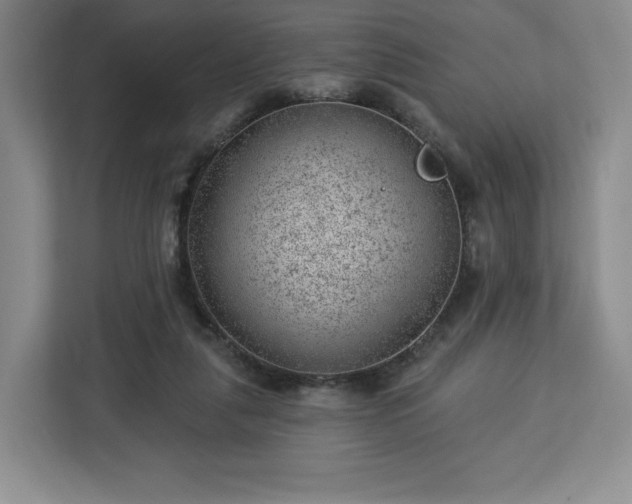 X0000112920259200908311303