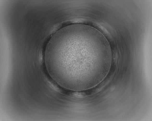 X0000112920261200908311303